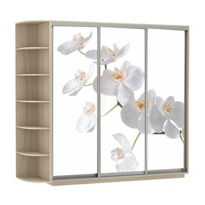 Шкаф Экспресс со стеллажом, 2100х600х2200, Орхидея белая/шимо светлый в Санкт-Петербурге