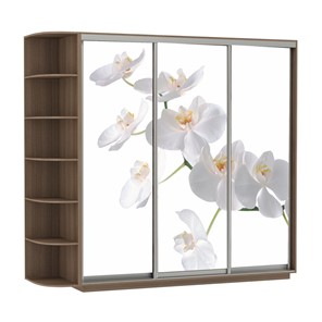 Шкаф 3-створчатый Экспресс со стеллажом, 2100х600х2200, Орхидея белая/шимо темный в Санкт-Петербурге