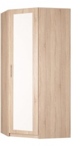 Угловой шкаф распашной Реал (YR-230х1034 (3)-М Вар.4), с зеркалом в Гатчине