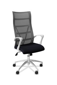 Офисное кресло для руководителя Топ X белый каркас, сетка/ткань TW / серая/черная в Санкт-Петербурге