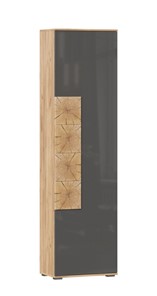 Шкаф одностворчатый Фиджи с декоративными накладками 659.300, Дуб Золотой/Антрацит в Гатчине