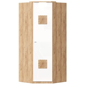 Шкаф угловой 45 с декоративной накладкой Фиджи, 659.248, белый в Гатчине