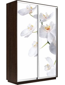 Шкаф Экспресс 1400x600x2400, Орхидея белая/венге в Санкт-Петербурге