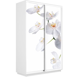 Шкаф 2-дверный Экспресс 1600x450x2400, Орхидея белая/белый снег в Санкт-Петербурге
