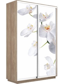Шкаф 2-створчатый Экспресс 1600x450x2400, Орхидея белая/дуб сонома в Санкт-Петербурге - предосмотр