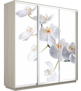 Шкаф 3-х дверный Экспресс 1800х600х2200, Орхидея белая/шимо светлый в Санкт-Петербурге - предосмотр