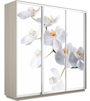 Шкаф 3-х дверный Экспресс 1800х600х2200, Орхидея белая/шимо светлый в Санкт-Петербурге - изображение