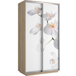 Шкаф Хит 1200x600x2200, белая орхидея, ясень шимо светлый в Санкт-Петербурге