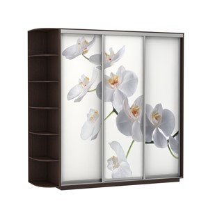 Шкаф 3-дверный Экспресс со стеллажом, 2700х600х2400, Орхидея белая/венге в Санкт-Петербурге