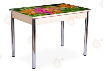 Кухонный стол раскладной Айсберг-02 СТФ, Дуб ЛДСП/полевые цветы/ноги хром прямые в Санкт-Петербурге