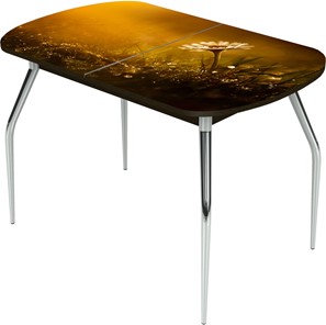 Кухонный раскладной стол Ривьера исп.2 ноги метал. крашеные №24 Фотопечать (Цветы №43) в Санкт-Петербурге