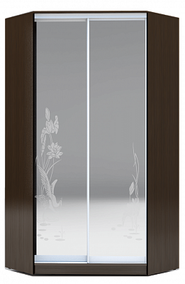 Шкаф 2300х1103, ХИТ У-23-4-66-01, цапля, 2 зеркала, венге аруба в Санкт-Петербурге - изображение